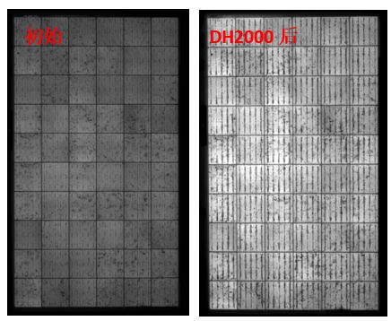 圖13 組件采用VA33含量EVA封裝后，DH2000前后的EL圖